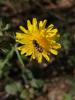 282064 – Photo : Georges Olioso – France (11)