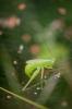 282485 – Photo : Juliane Casquet – France (81)