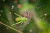 282486 – Photo : Juliane Casquet – France (81)