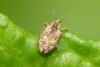 282646 – Photo : florent besson – France (18)