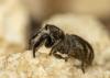 282557 – Photo : Raphaël Grellety – France (34)