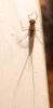 282693 – Photo : Bruno TUNE – France (02)