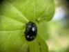 282471 – Photo : Yoann CROISILLE – France (24)