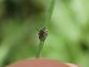 282133 – Photo : Corentin Vandesteene – France (59)