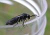 282233 – Photo : Guénael Hallart – France (02)