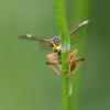 283471 – Photo : Didier Houbrechts – Belgique