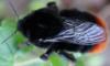 283320 – Photo : oty – France (29)