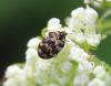 283492 – Photo : oty – France (29)