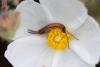 283484 – Photo : Pierre Duhem – France (11)
