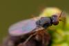 283486 – Photo : Pierre Duhem – France (11)
