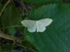 283113 – Photo : Nirina Andrianarisoa – France (95)