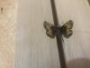 283091 – Photo : Limenitis78 – Canada