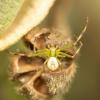 283287 – Photo : Raphaël Grellety – France (34)