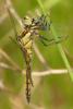 283406 – Photo : Laurent Jourdheuil – France (21)