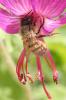 283380 – Photo : Catherine Reymonet-Smitten – France (19)