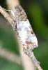 283750 – Photo : Jean-Michel GAREL – France (89)