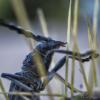 283331 – Photo : Florent Stepin – Portugal