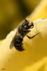 284346 – Photo : Didier Houbrechts – Belgique