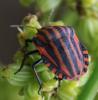 284370 – Photo : oty – France (29)