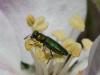 284465 – Photo : Andre Astric – France (68)