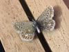 284627 – Photo : Limenitis78 – France (04)