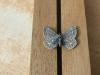 284629 – Photo : Limenitis78 – France (04)