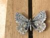 284631 – Photo : Limenitis78 – France (04)