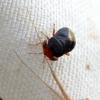 284553 – Photo : Mathurin CARNET – France (58)