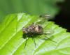 284607 – Photo : alain Roujas – France (31)