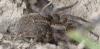284494 – Photo : Christian Berquer – France (64)