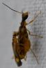 284641 – Photo : Jean-Michel GAREL – France (89)