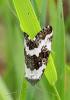284114 – Photo : Alain Demeuse – Belgique