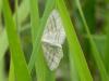 284680 – Photo : Simon Barbier – France (60)