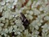 284168 – Photo : RENOULT – France (20)