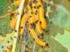 284791 – Photo : Hubert Lelong – France (31)