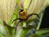 285197 – Photo : Laurent Plantard – Mayotte