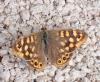 285608 – Photo : Catherine Reymonet-Smitten – France (19)