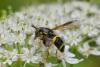 285331 – Photo : florent besson – France (18)