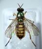286257 – Photo : Arthropa - Benoit Martha – France (71)