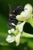 286361 – Photo : Didier Houbrechts – Belgique