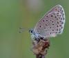 286868 – Photo : Christophe Picq – France (16)