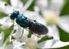 286485 – Photo : Jean-Michel GAREL – France (89)