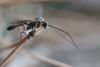 286734 – Photo : Simon Thevenin – France (13)