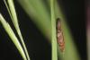 286411 – Photo : Simon Thevenin – France (13)