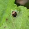 286225 – Photo : Mathurin CARNET – France (58)
