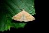 286588 – Photo : Michel Ehrhardt – France (68)