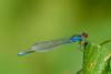 286396 – Photo : florent besson – France (18)