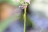 286460 – Photo : Christian Gastou – France (84)