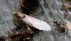 287598 – Photo : oty – France (29)