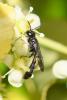287009 – Photo : Didier Houbrechts – Belgique